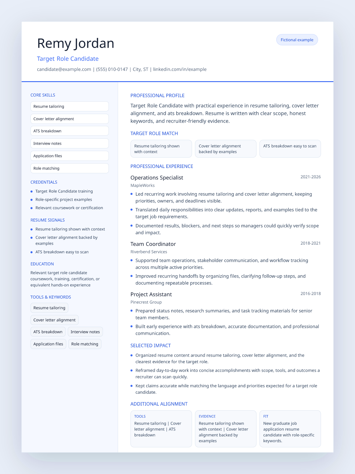 Fictional job application resume example preview