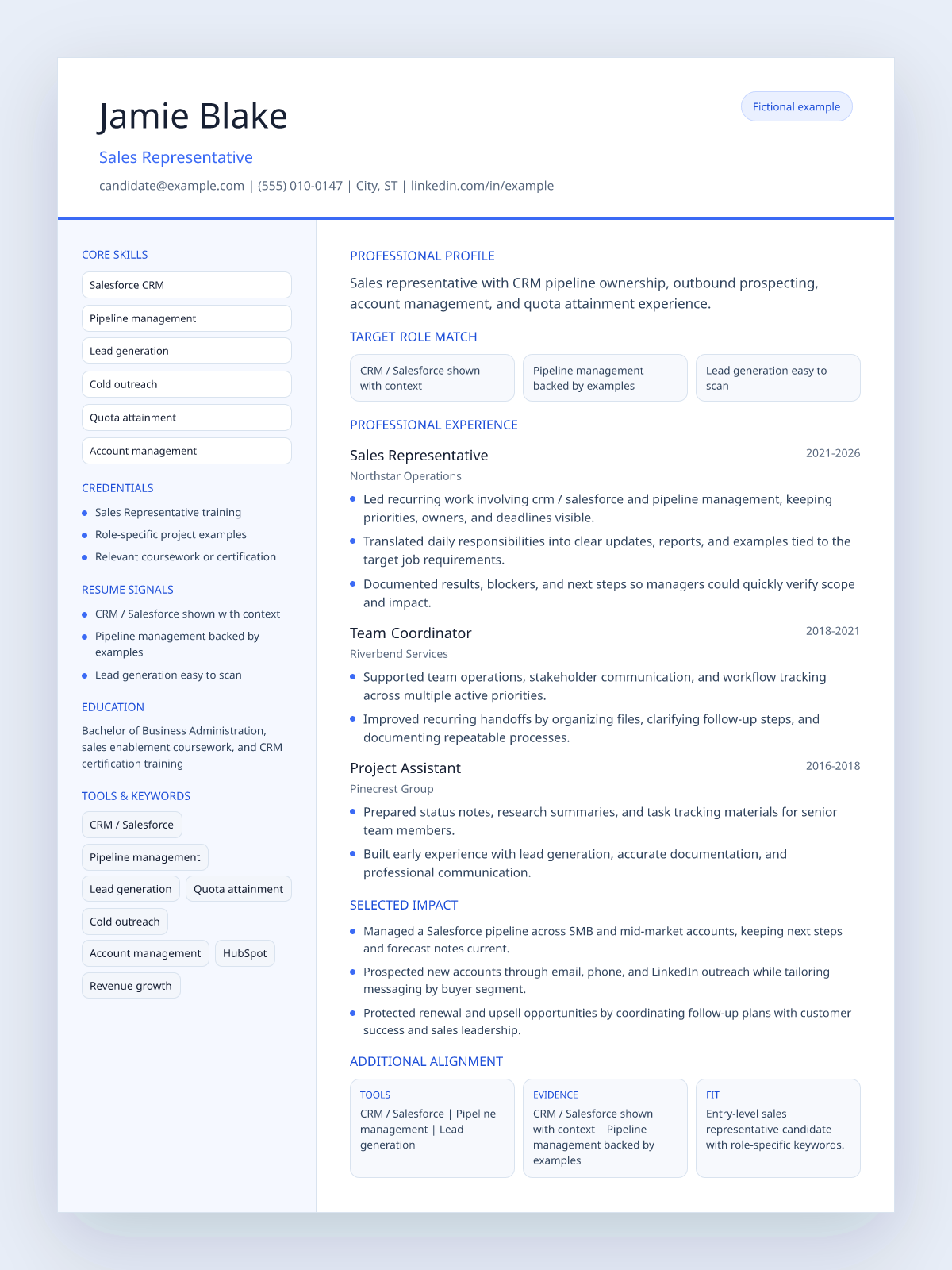 Fictional sales representative resume example preview